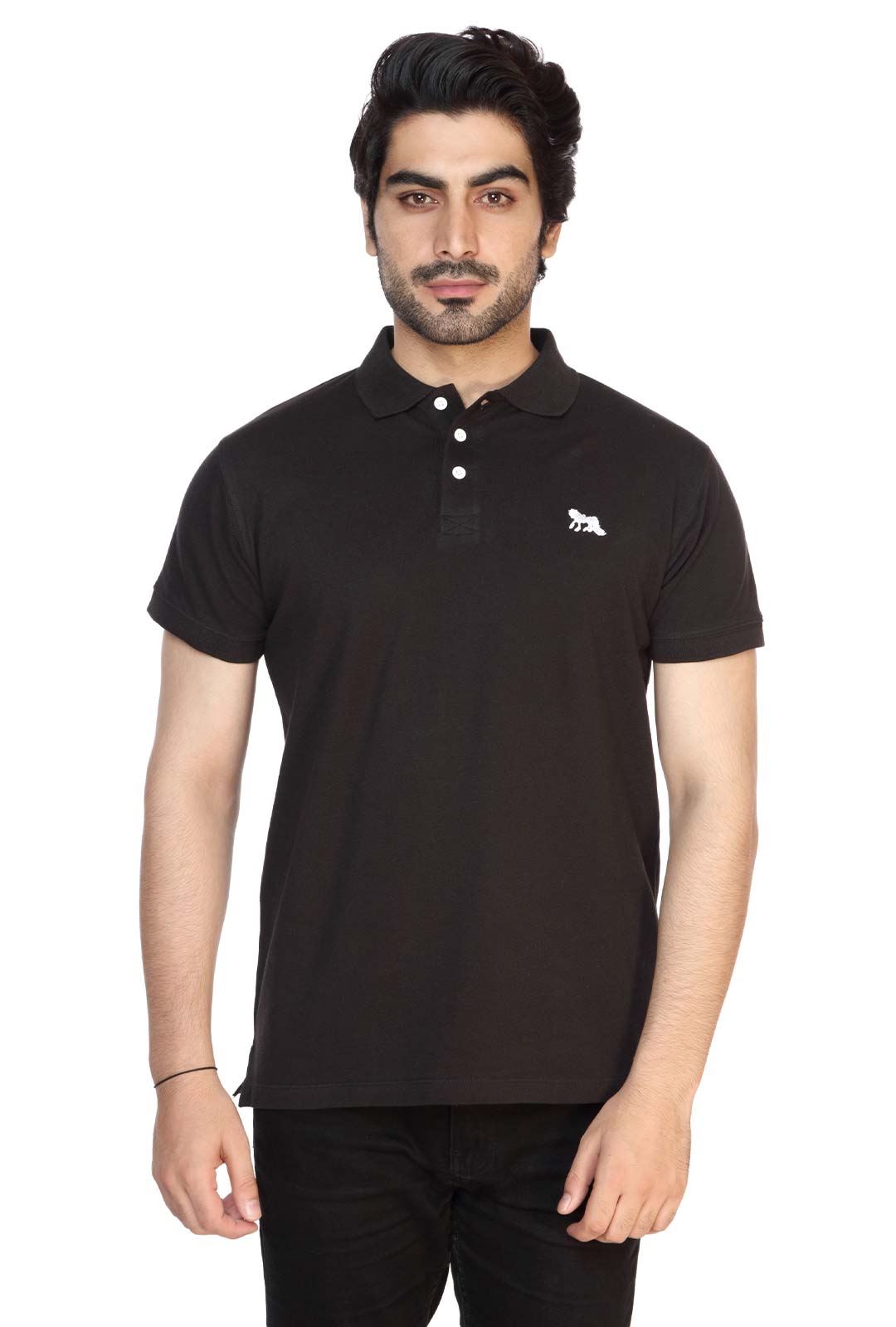 Wales Polo