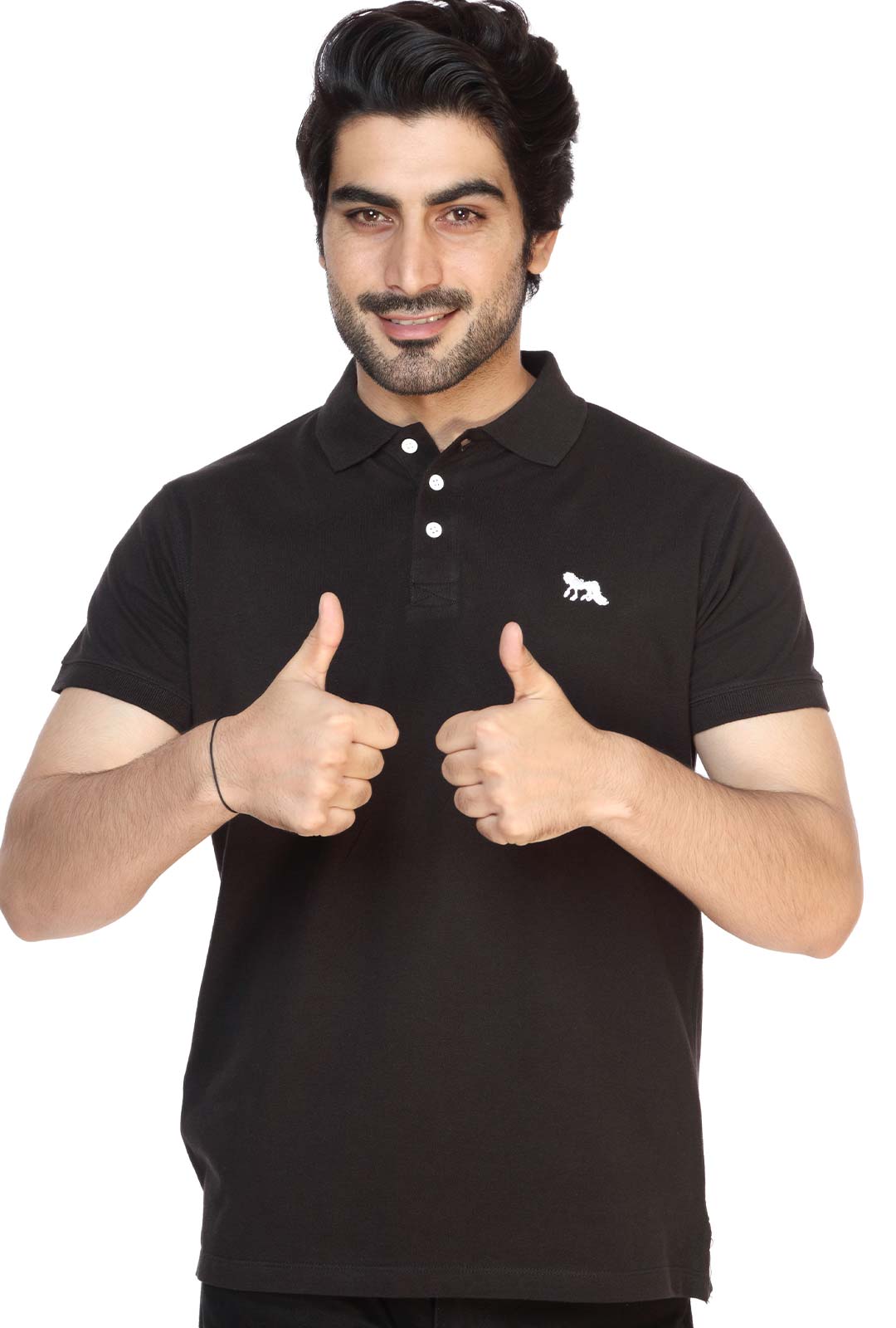 Wales Polo