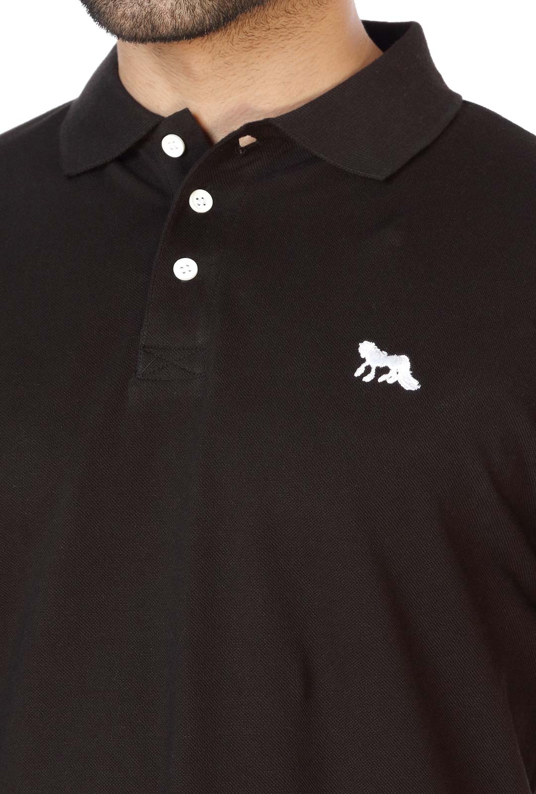 Wales Polo