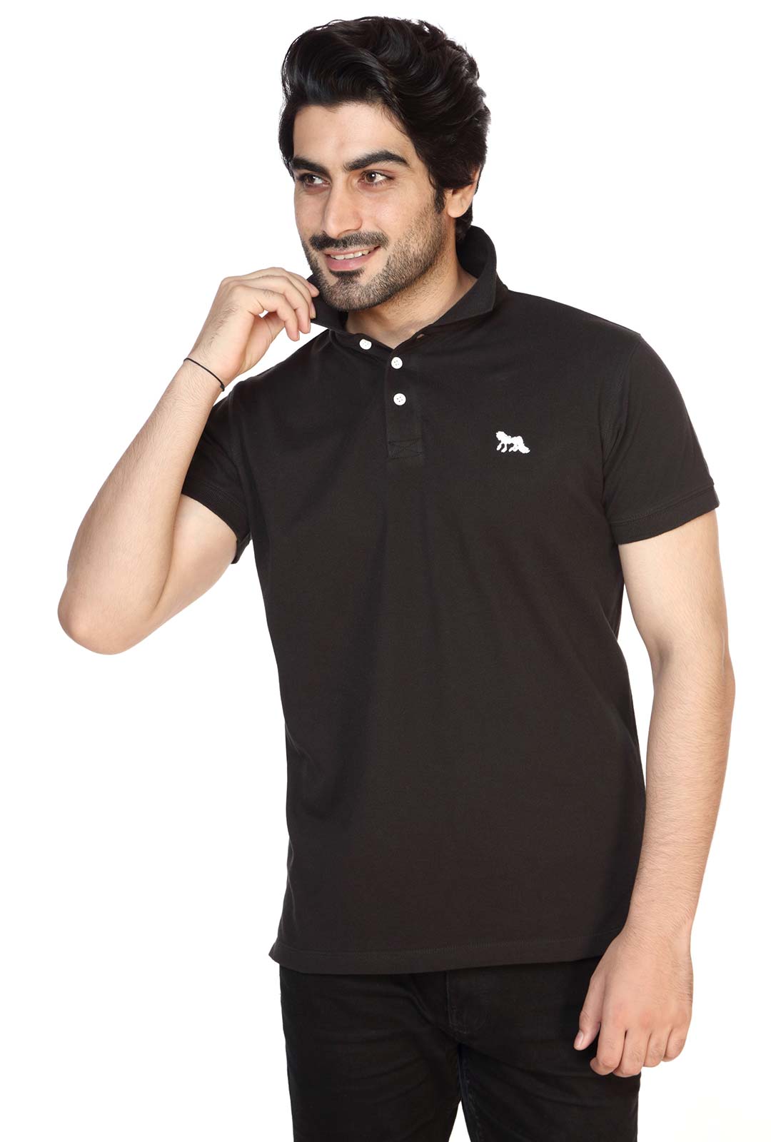 Wales Polo